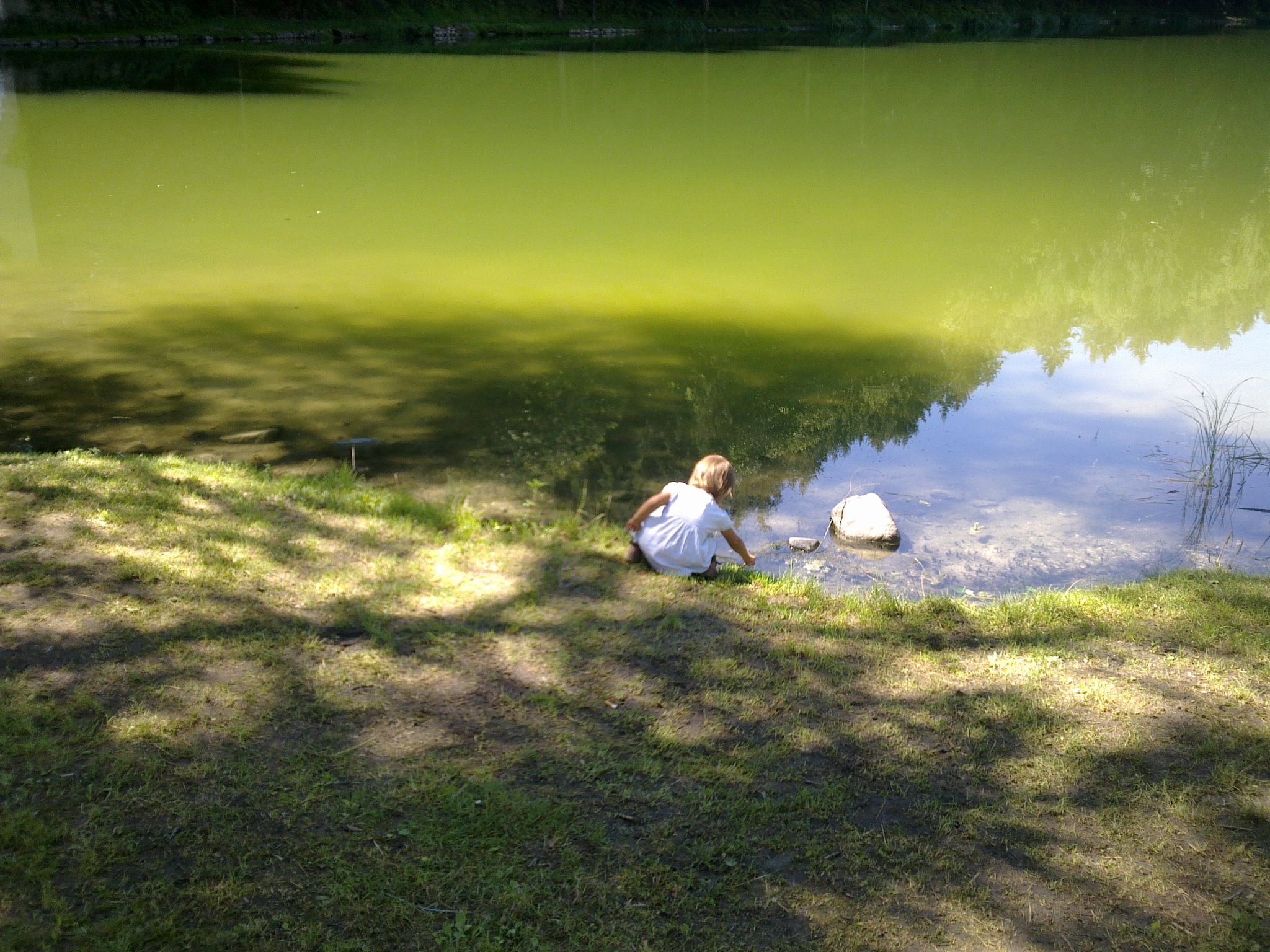 biodinamico,contatti,arrivare,infinito,canzolino,cibo,equilibri,comunione,collaborazione,natura,pace,armonia