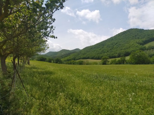 panorama-terreni-basso