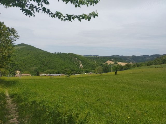 podere-panorama-parte-alta-bassa