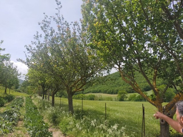 podere-terreno-sabbioso