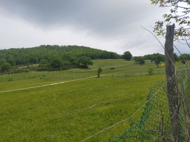 podere-varie-pendenze