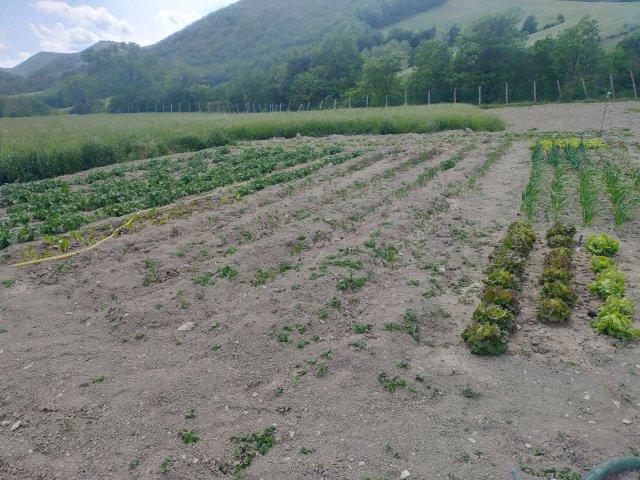 terreno-sabbioso-piano-orto